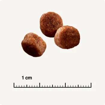 SELECT GOLD Digestion Senior Geflügel Und Reis 2,5kg – Bild 5