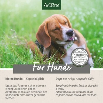 Aniforte Zecken Schild (bis 10kg) Für Kleine Hunde 60 Kapseln – Bild 6