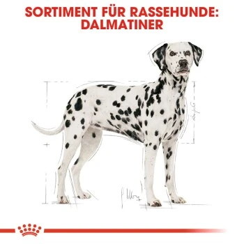 ROYAL CANIN Dalmatian Adult 12 Kg – Bild 5