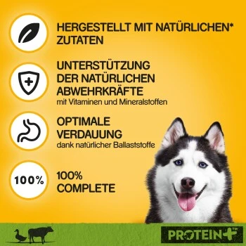 Pedigree Dose Protein+ In Pastete 12x800g Rind Mit Ente – Bild 5