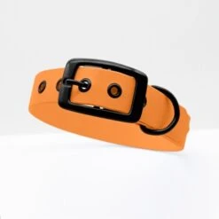 THE DOG IDEA Biothane Halsband Peach Schwarz S