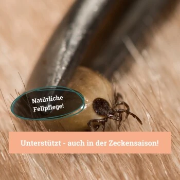 BeG Buddy Fellspray Zecke – Bild 4