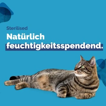 Almo Nature Almo Holistic Sterilised 30x70g Mit Huhn – Bild 3