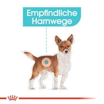 ROYAL CANIN Urinary Care Mini 3 Kg – Bild 7