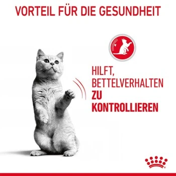 ROYAL CANIN Appetite Control Care 12 X 85 G – Bild 3
