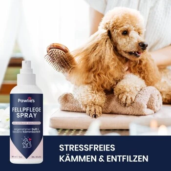 Pawlie's Fellpflege Für Hunde & Katzen – Bild 2