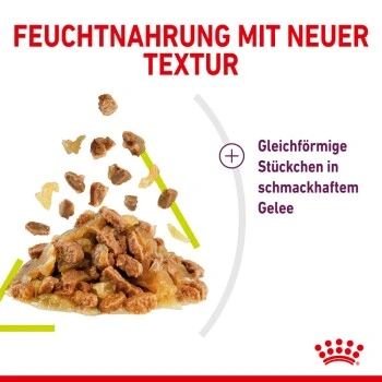 ROYAL CANIN SENSORY Smell In Gelee Für Wählerische Katzen 12x85g – Bild 3