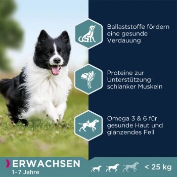 EUKANUBA Adult Small & Medium Breed Lamm & Reis 12 Kg – Bild 2