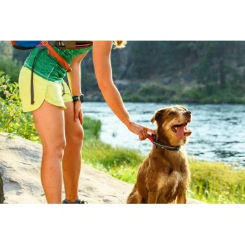 Ruffwear Quick Draw™ Leine – Bild 6