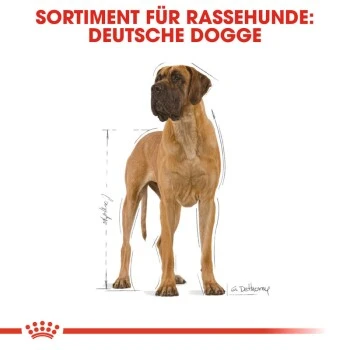 ROYAL CANIN Deutsche Dogge Adult 12 Kg – Bild 6