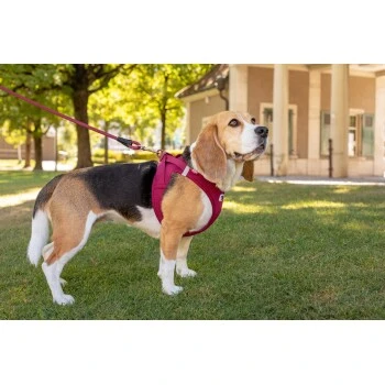 Curli Vest Harness Clasp Air-Mesh Grün XXXS – Bild 5