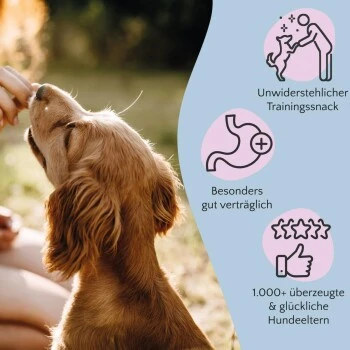 FAVLY Petfood Nature Cookies Pute 360 G – Bild 5