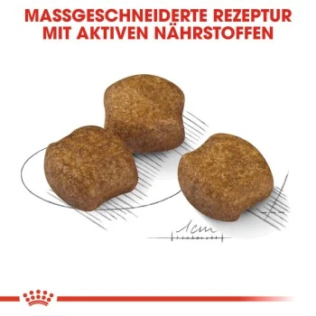 ROYAL CANIN Dental Care Medium 10 Kg – Bild 4