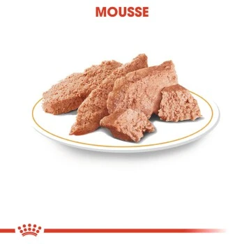 ROYAL CANIN Yorkshire Terrier Adult Mousse 12x85g – Bild 3