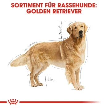ROYAL CANIN Golden Retriever Adult 12 Kg – Bild 5