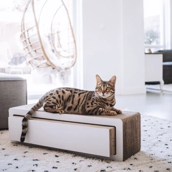 District 70 STRETCH – Bild 4