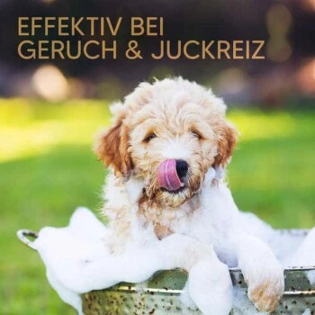 Pawlie's Welpenshampoo – Bild 6