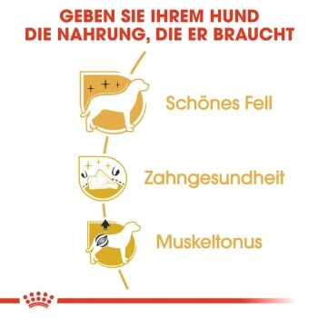 ROYAL CANIN Poodle Adult 7,5 Kg – Bild 3