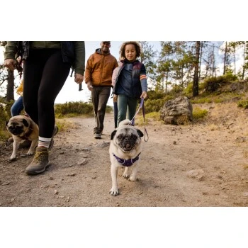 Ruffwear Front Range™ Leine Violett – Bild 9