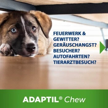 ADAPTIL Chew 30 Stück Anti Stress Snack – Bild 8