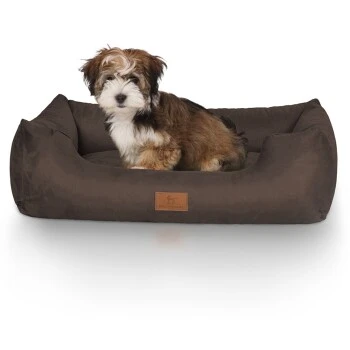 Knuffelwuff Hundebett Dreamline Aus Velours Braun M-L – Bild 4