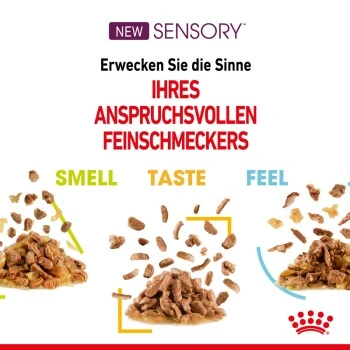 ROYAL CANIN SENSORY Smell In Gelee Für Wählerische Katzen 12x85g – Bild 6