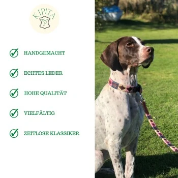 Kipita Polo Hundeleine Gentle – Bild 6