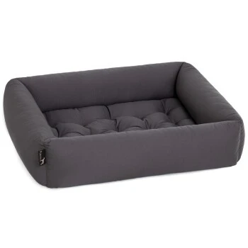 Pointer Liegeplatz Anthrazit M – Bild 8