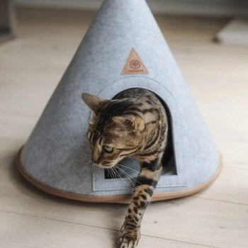 Canadian Cat Company Katzenzelt Cone – Bild 5