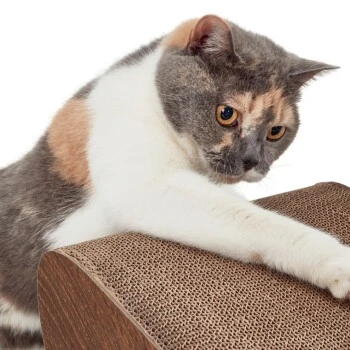 Canadian Cat Company Kratzbrett Satellite 2.0 Braun – Bild 6