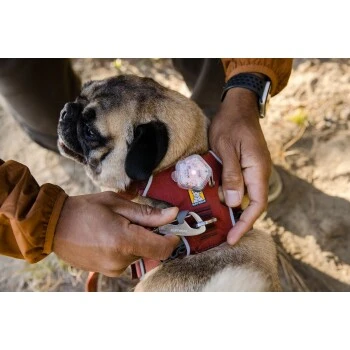 Ruffwear Front Range™ Geschirr Rubin S – Bild 10