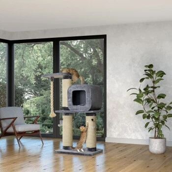 MORE FOR Kratzbaum Archie – Bild 4