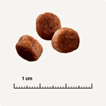 SELECT GOLD Sensitive Digestion Adult Geflügel Und Reis 2,5 Kg – Bild 5