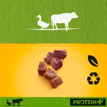 Pedigree Dose Protein+ In Pastete 12x800g Rind Mit Ente – Bild 3