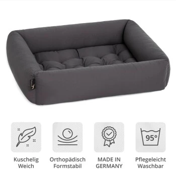 Pointer Liegeplatz Anthrazit M – Bild 3