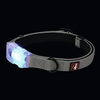 Dogs Creek Leuchthalsband Polar Light S – Bild 2