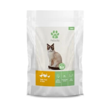 Fellicita Multipack 5 Sorten 10x 95 G – Bild 3