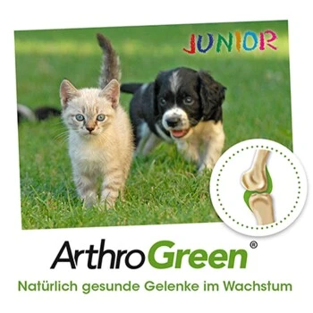 ArthroGreen Junior 25 G – Bild 3