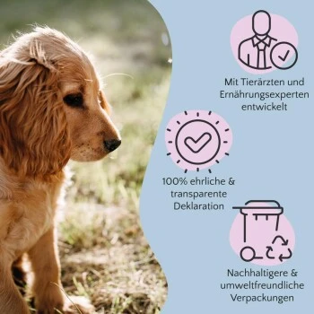 FAVLY Petfood Nature Cookies Pute 360 G – Bild 6