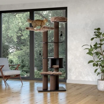 MORE Kratzbaum Harry – Bild 2