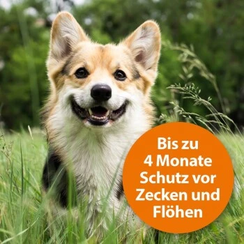Ardap Zecken- & Floh-Halsband Für Hunde M – Bild 8
