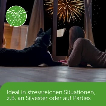 ADAPTIL Chew 30 Stück Anti Stress Snack – Bild 5