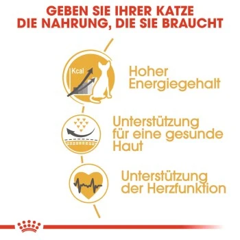 ROYAL CANIN Sphynx Adult 10 Kg – Bild 6