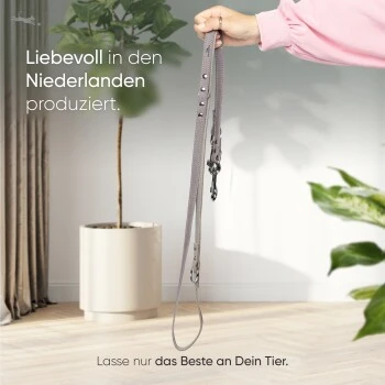 Freudentier Führleine Aus Leder Braun/ Grau 2 Cm – Bild 2