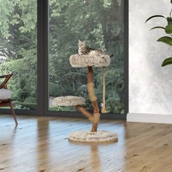 MORE Kratzbaum Kian – Bild 2