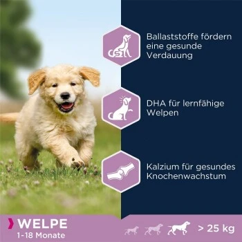 EUKANUBA Puppy Lamm & Reis 12 Kg – Bild 2