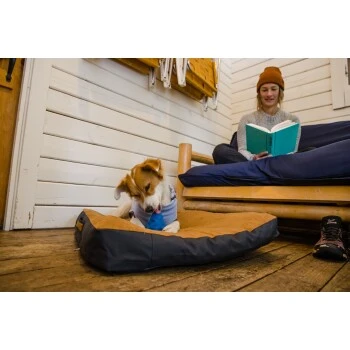 Ruffwear Gnawt-a-Cone™ Spielzeug Gelb – Bild 7