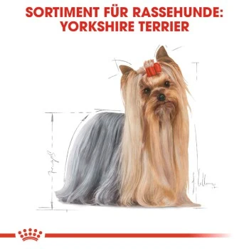ROYAL CANIN Yorkshire Terrier Adult Mousse 12x85g – Bild 2