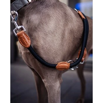 Freudentier Runde Hundeleine Aus Nylon – Bild 7