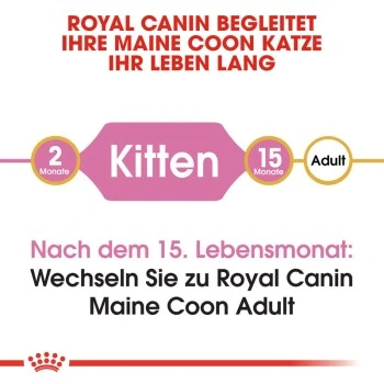 ROYAL CANIN Maine Coon Kitten 4 Kg – Bild 5